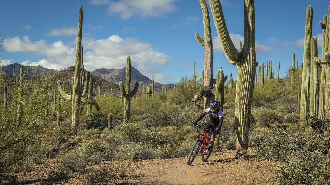 Guy riding his bike in the desert. Photo by Instagram user @vamosatucsonoficial