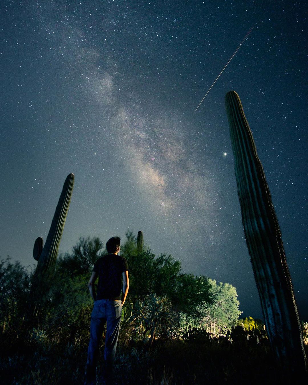 Guy staring up at the night sky looking at stars. Photo by Instagram user @catsphotoshoot