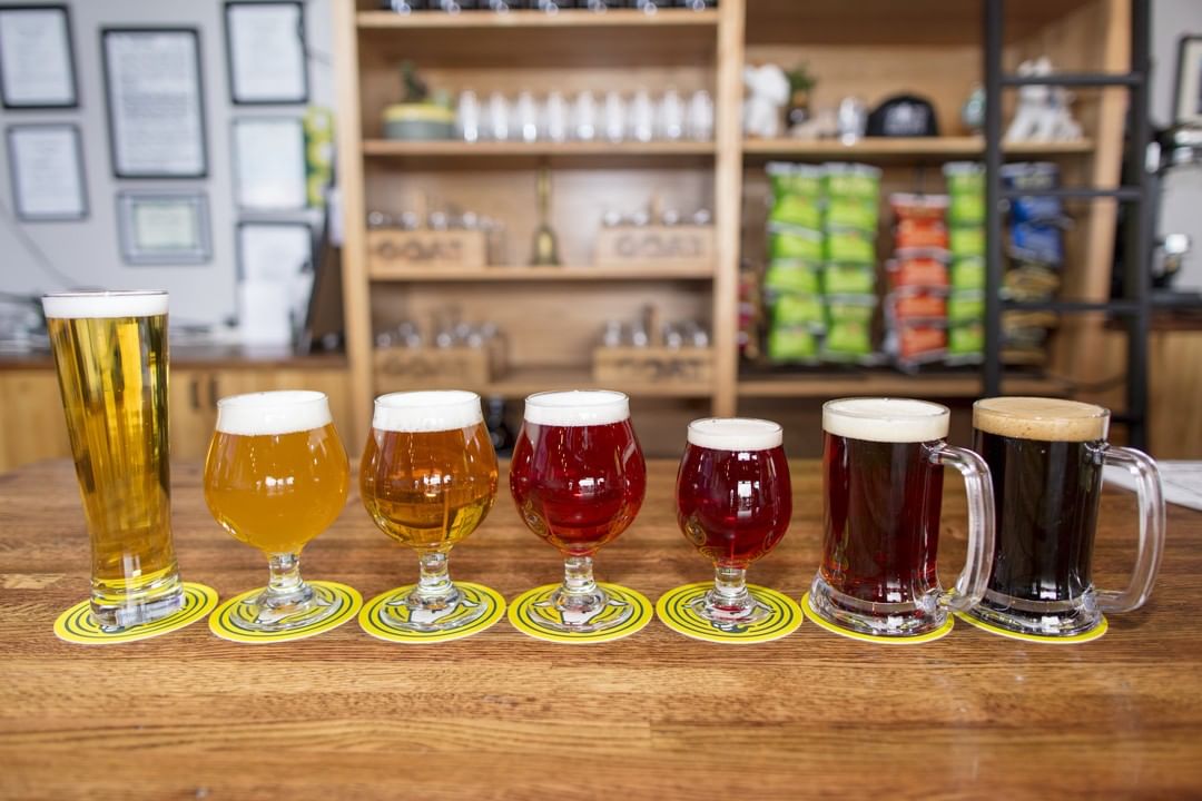 Glasses of beer in a row on table. Photo by Instagram user @goatpatchbrewing