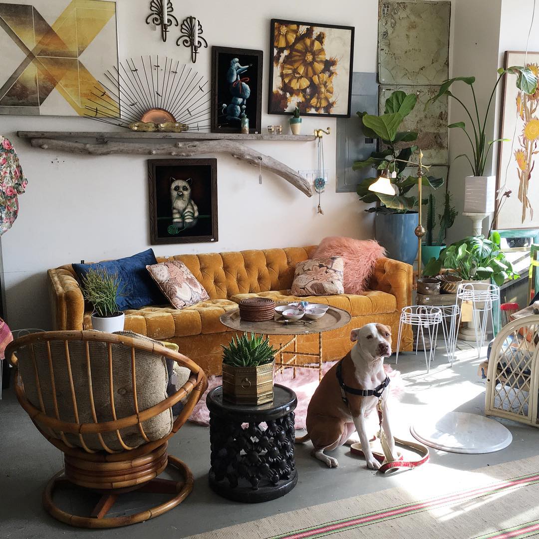 Room with dog in front of orange velvet couch and vintage paintings on wall. Photo via @gallivantinggirls