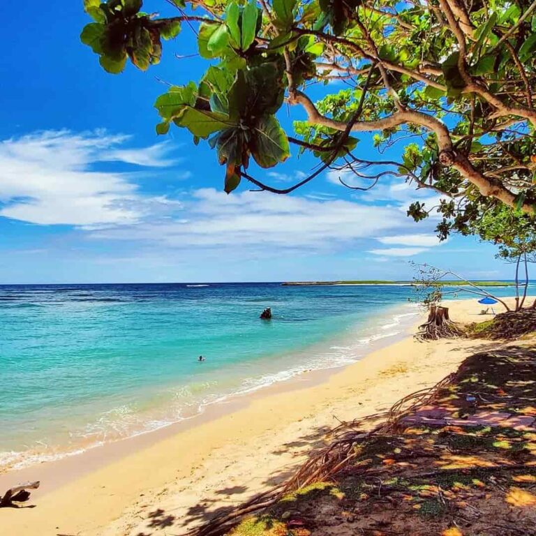 8 Most Affordable Places to Live in Hawaii in 2024 Extra Space Storage