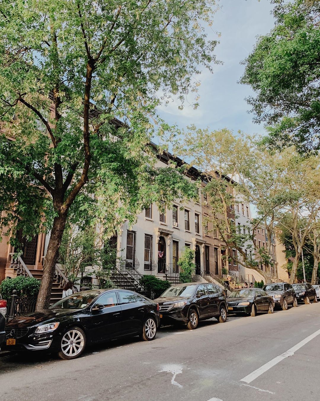 Dark tan rowhouses covered by large green trees. Photo by Instagram user @yourgirlkath