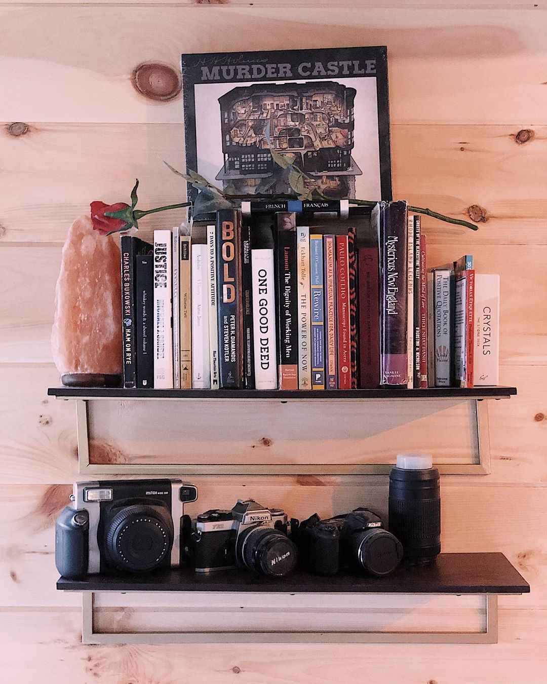 Bookshelf with books, a salt lamp, and cameras on it. Photo by Instagram user @the_tongueandgroovy_tinyhouse