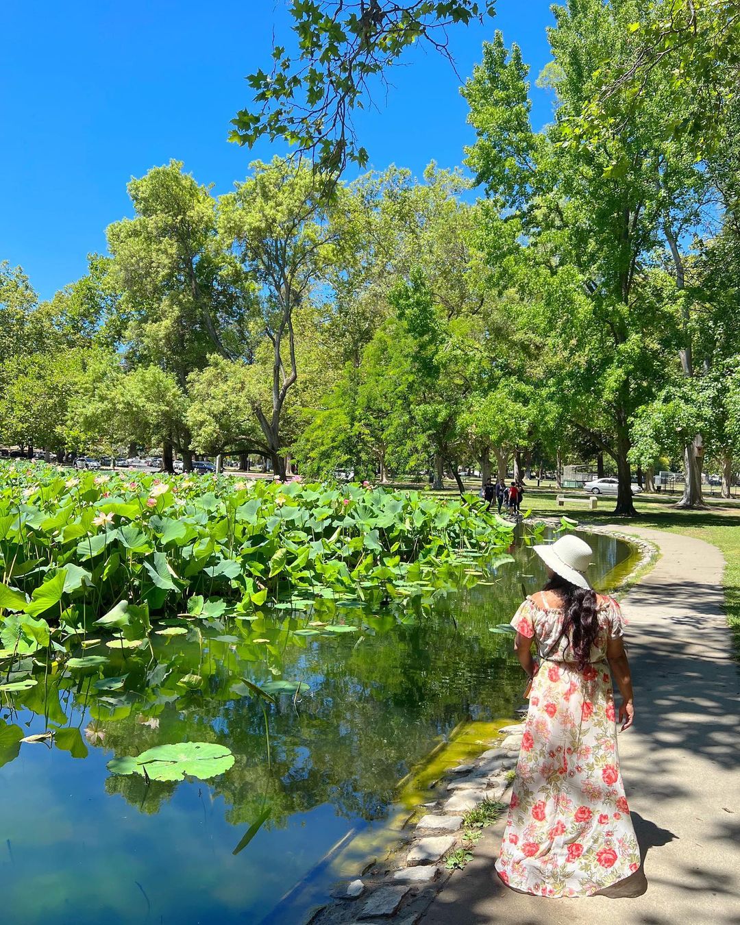 Person in a dress looking a lotus pond at William Land Regional Park. Photo by Instagram user @theroadlystraveled. 