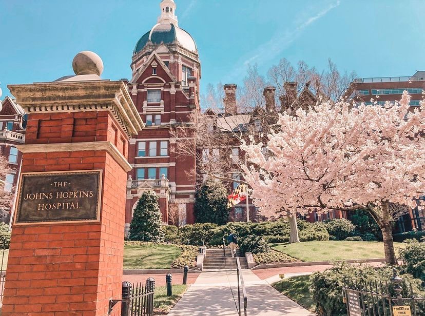 Baltimore Hospital with Cherry Blossom Tree