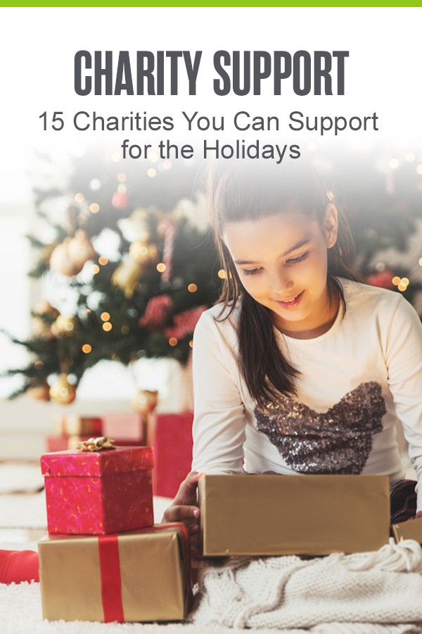Pinterest Graphic: Charity Support: 15 Charities You Can Support for the Holidays