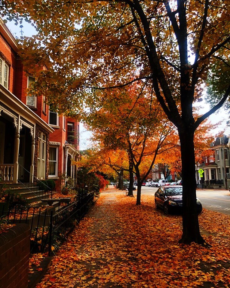 Autumn in Richmond, VA. Photo by Instagram user @thekatieelliott