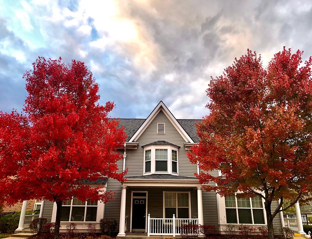 Gray house surrounded by red trees. Photo by Instagram user @magicphotoroll