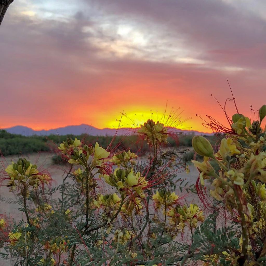 Moving to El Paso? Here Are 15 Things to Know Extra Space Storage