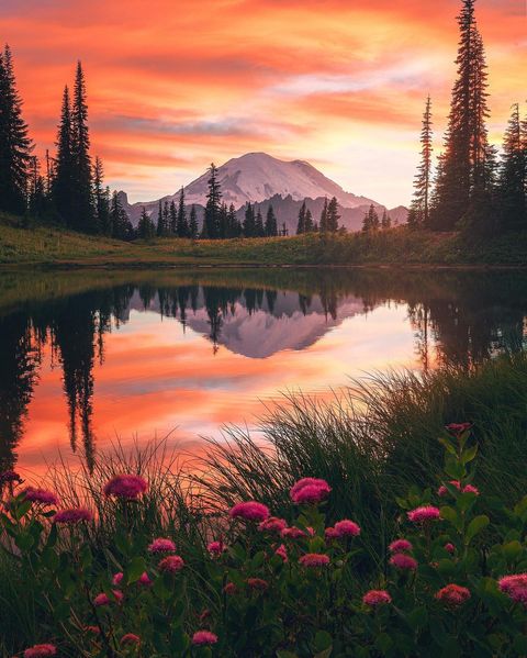 Sunset view of Mount Rainier National Park with a lake and pink flowers in the foreground and Mt. Rainier in the background. Photo by Instagram user @neohumanity