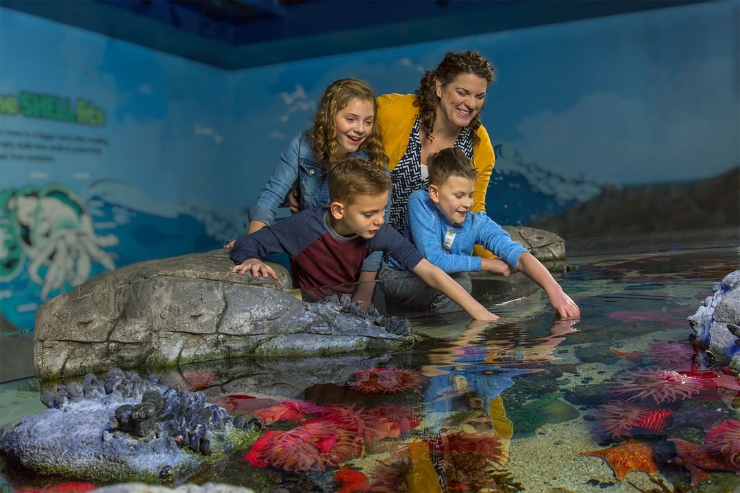 Family touching fish at aquarium. Photo by Instagram user @sealifeusa