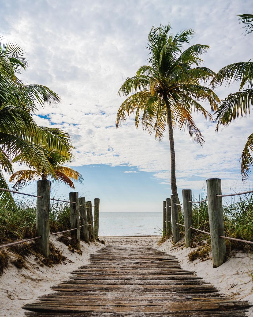 Palm trees line the path to a Key West beach. Photo by Instagram user @kris.feavel.