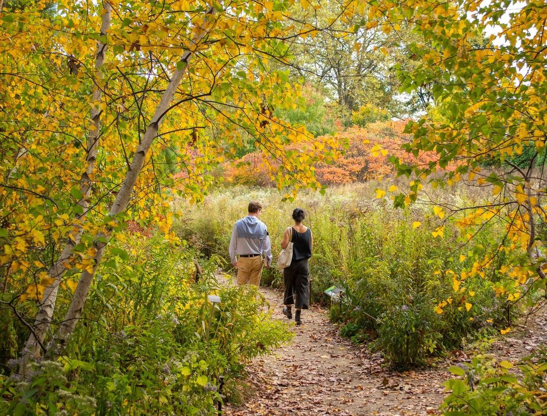 Two people walk through Brooklyn Botanical Garden. Photo by Instagram user @brooklynbotanic.