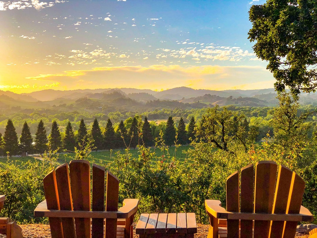 A photo of two lawn chairs seated overlooking a vineyard. Photo by Instagram user @copainwines. 