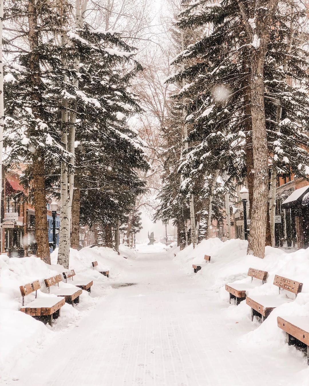 Snow falling down on big trees and sidewalk in Aspen, CO. Photo by Instagram user @hotelaspen