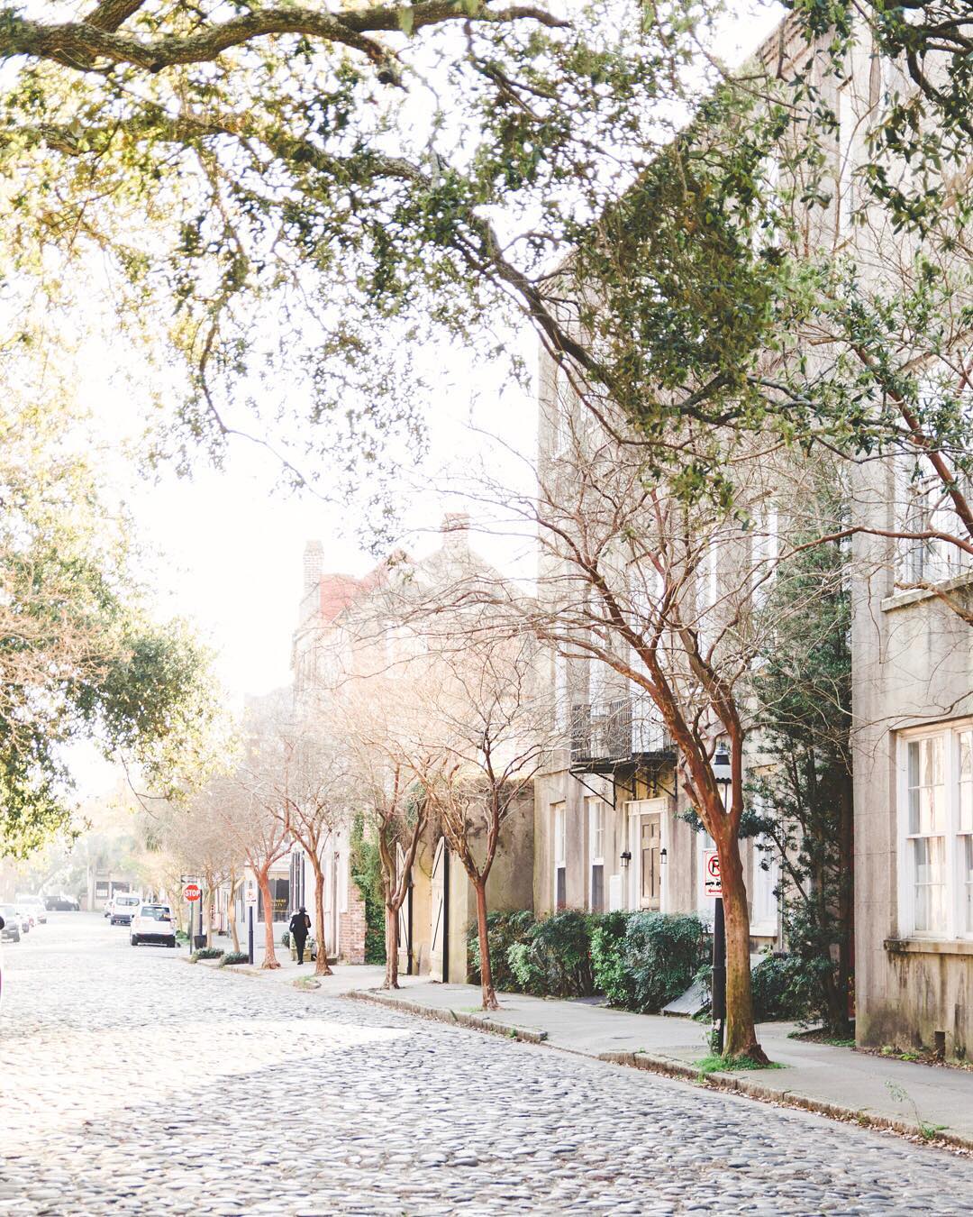 Cobblestone street shaded by trees in Charleston, SC. Photo by Instagram user @elizabethrosemessina