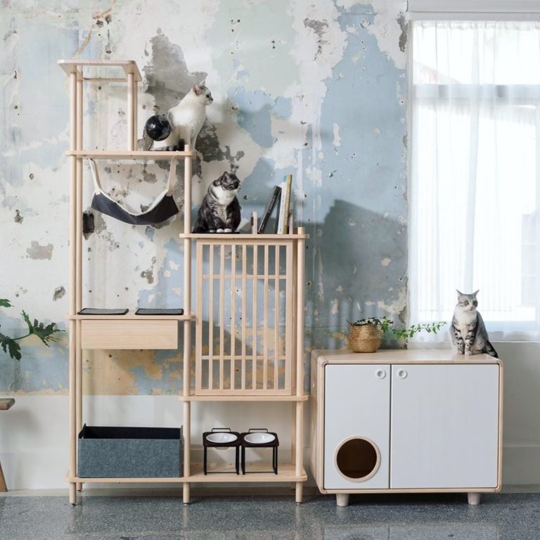 21 Ideas for Designing & Organizing a Cat Room Extra Space Storage