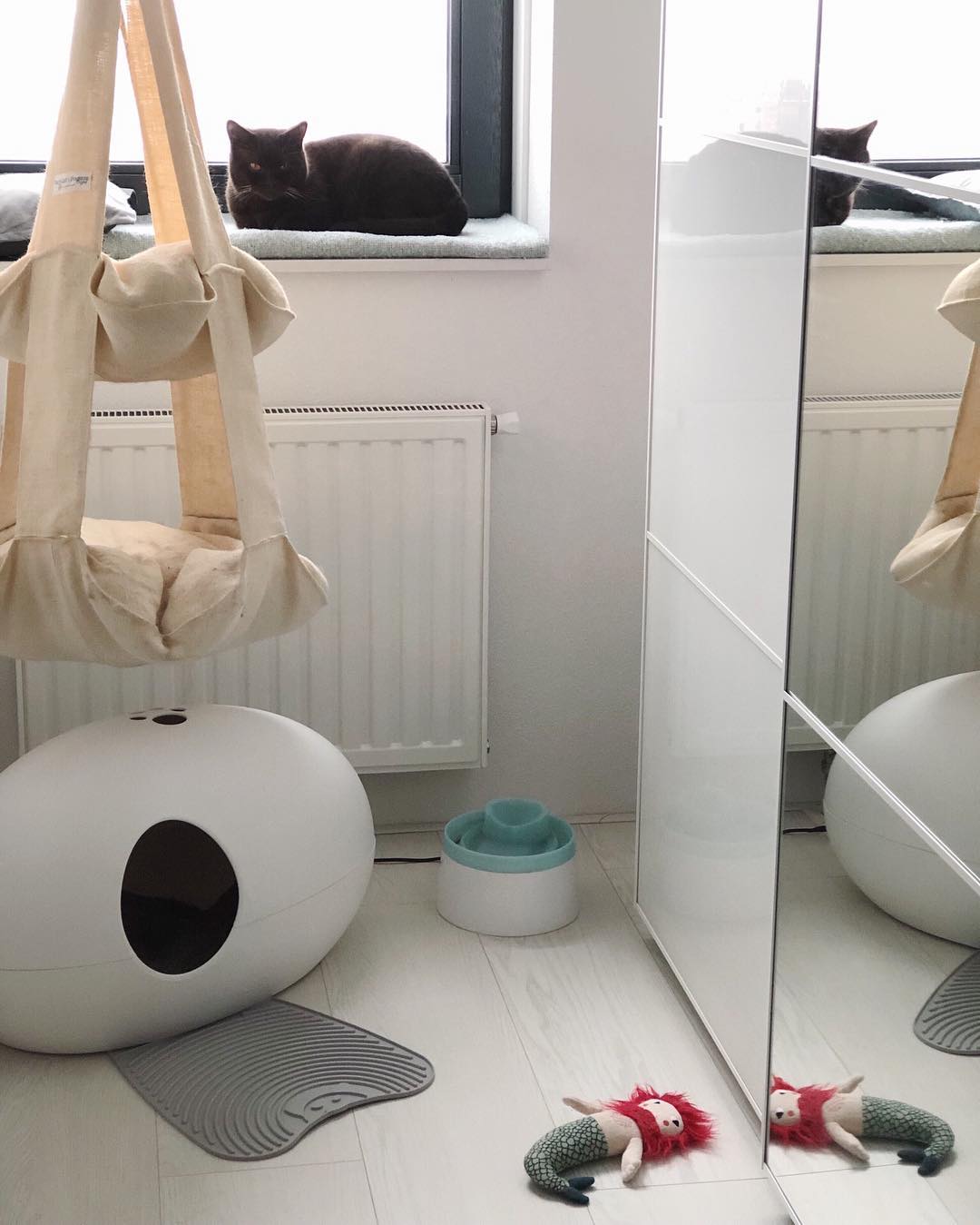 Cat sitting on windowsill next to hanging cat bed. Photo by Instagram user @numberninetysix