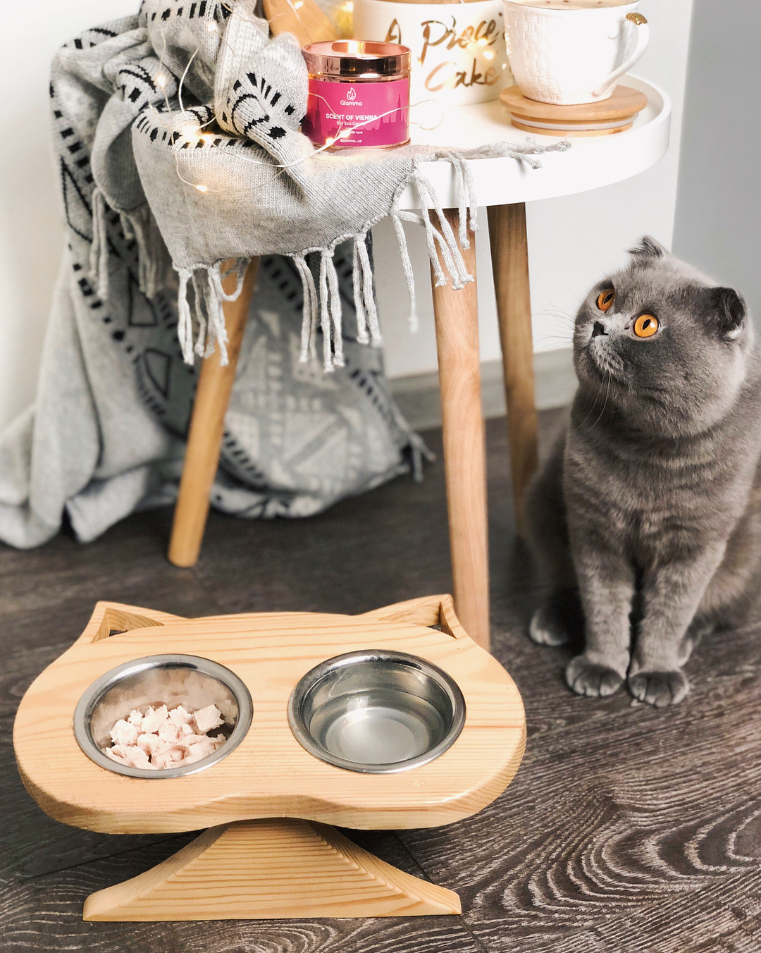 Gray cat sitting next to food bowl and wood stool. Photo by Instagram user @lia_obri
