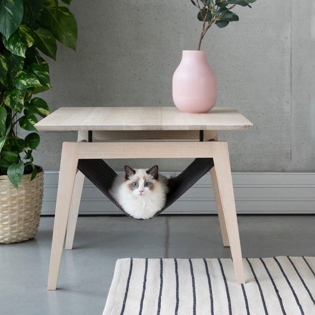 21 Ideas for Designing & Organizing a Cat Room Extra Space Storage