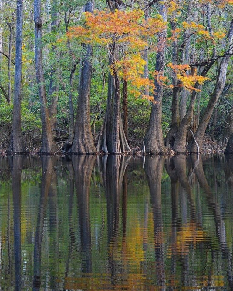 Moving to Columbia? Here Are 13 Things to Know Extra Space Storage