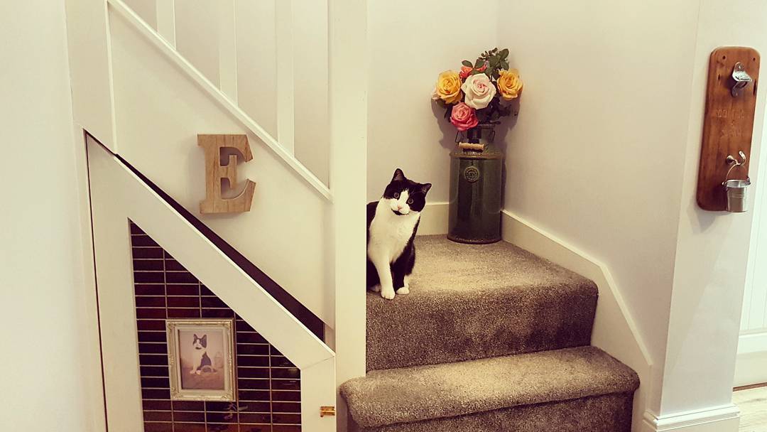 Cat sitting on stairs next to under the stairs kennel. Photo by Instagram user @sarahs_yorkshire_home