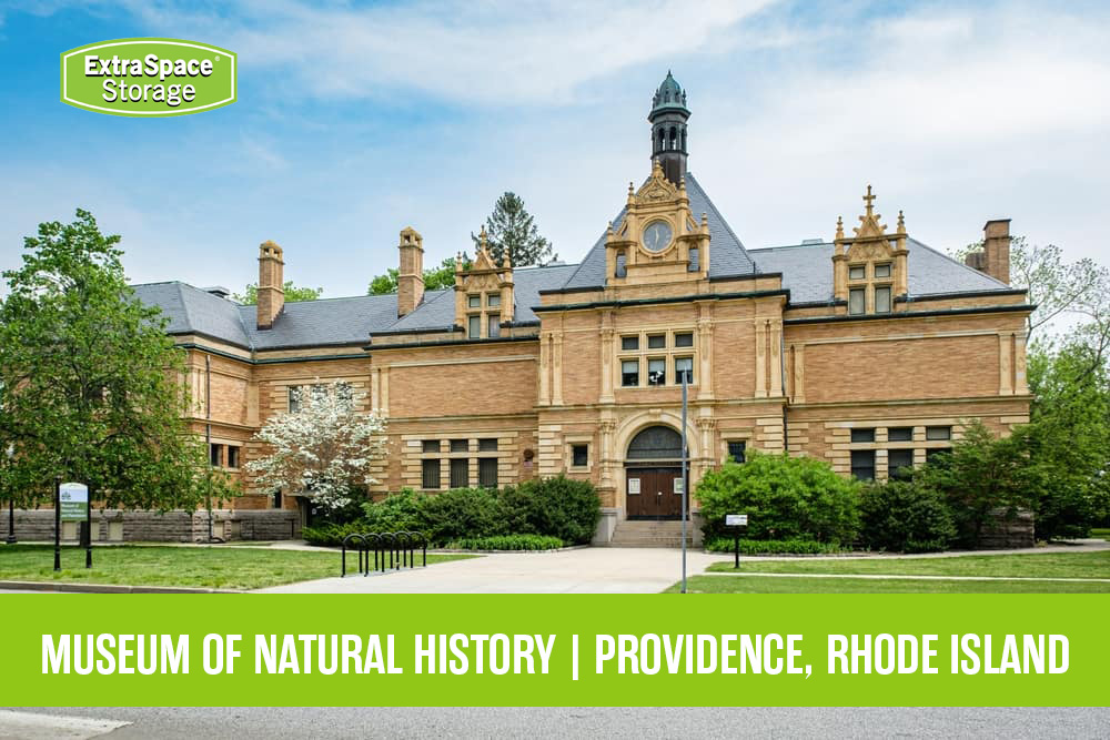 Museum of Natural History in Providence Rhode Island.