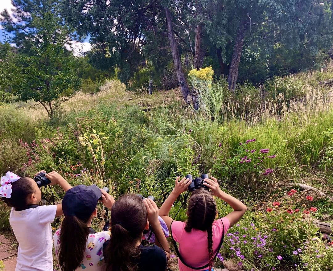 kids looking through binoculars at the randall davey audubon center & sanctuary photo by Instagram user @audubonnewmexico