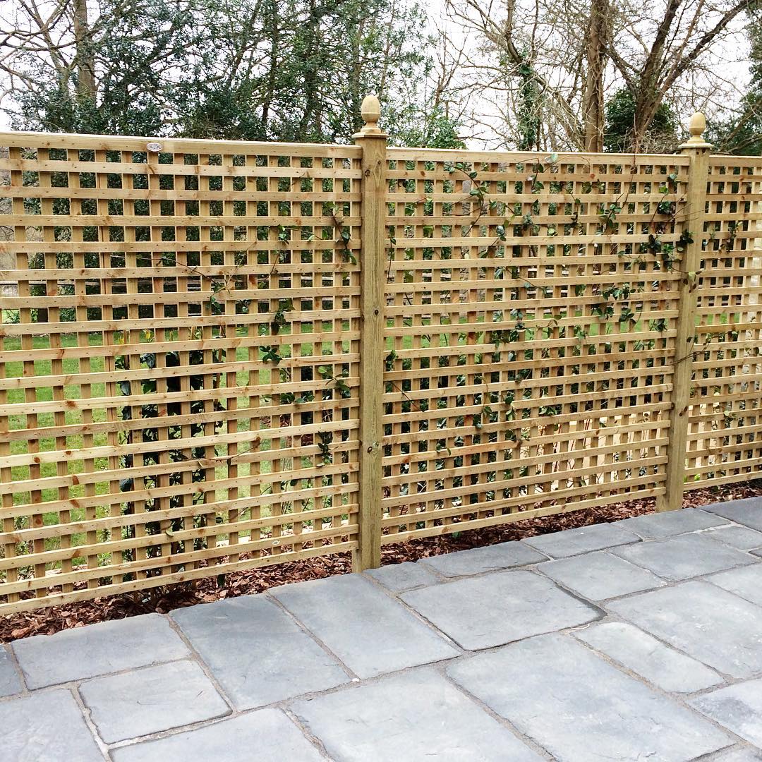 Trellis Panels. Photo by @d.k_fencing_and_landscaping