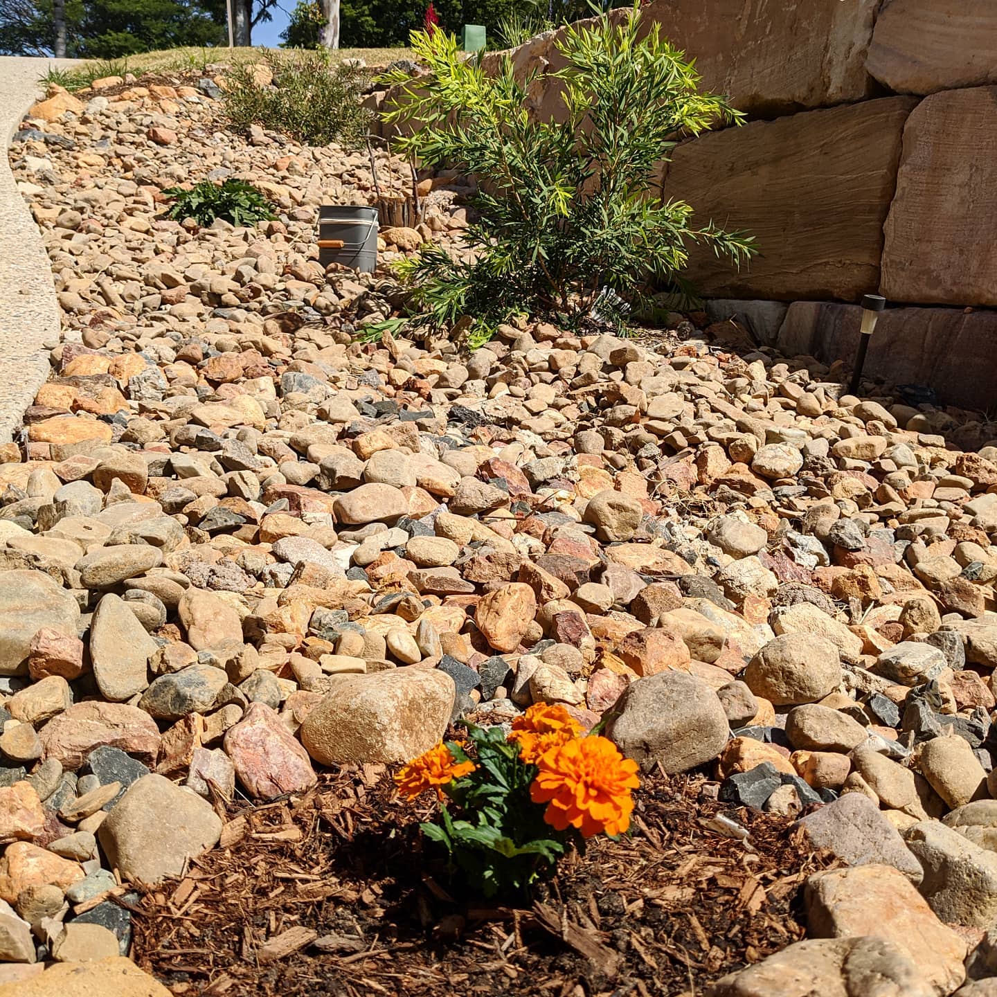 Rock gardens with different shapes and sizes of rocks. Photo by @my_suburbanfarm