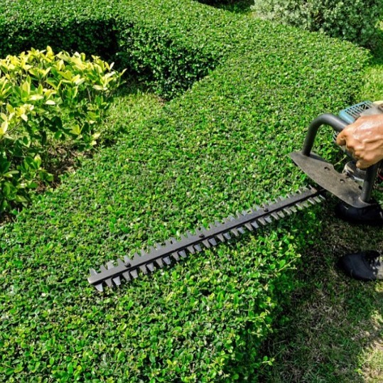 person using electric trimmer trimming shrubs photo by Instagram user @leafittomenc