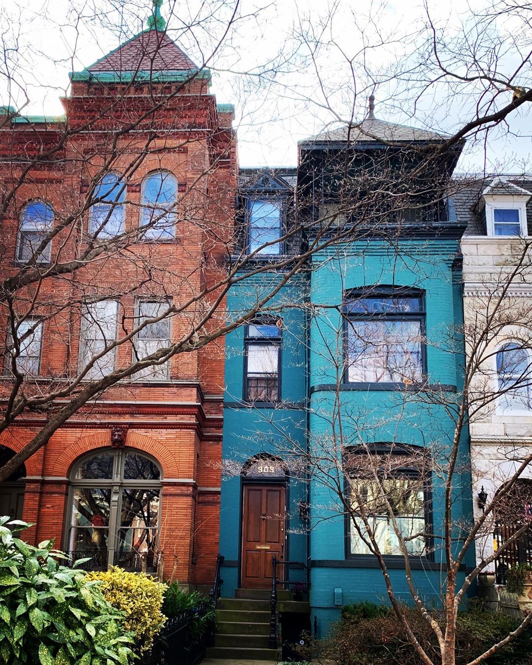 blue brick row houses in Capitol Hill, Washington, DC photo by Instagram user @steph_in_dc