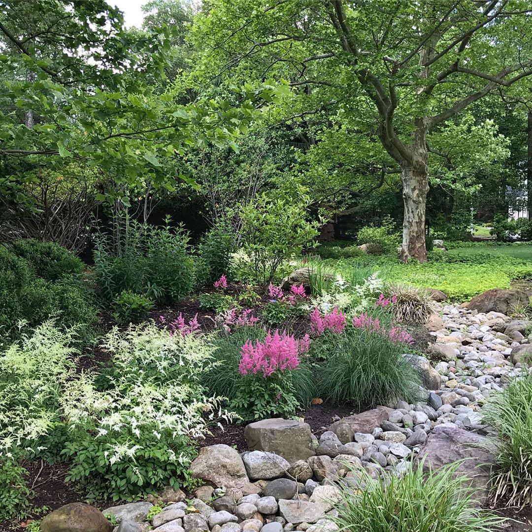 backyard landscaping rocks made to look like a dry stream photo by Instagram user @susancohan