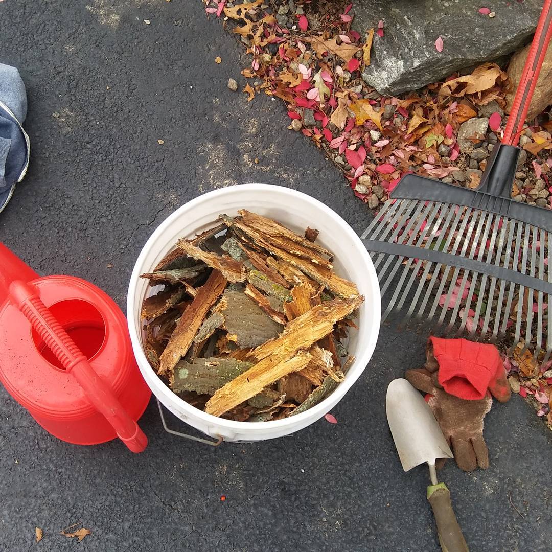bucket filled with tree bark to make your own mulch photo by Instagram user @yankeehomespun