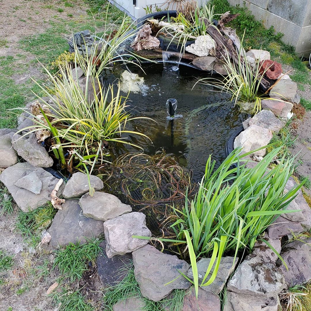 Pond added to backyard with nice landscaping around it.