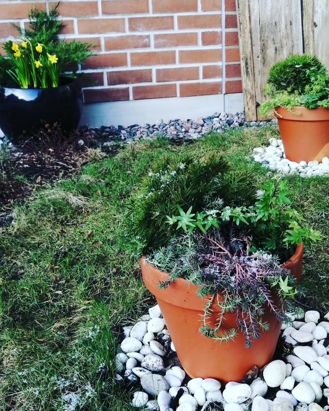 Small potted plants placed throughout landscaping.