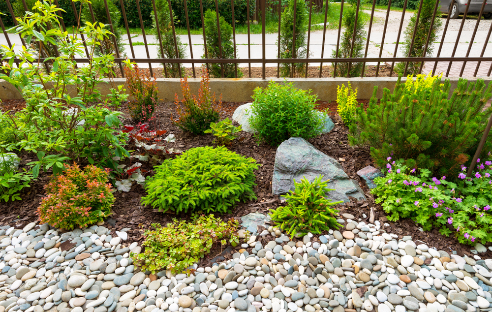 small yard with multiple textures of rock and mulch with small shrubs throughout
