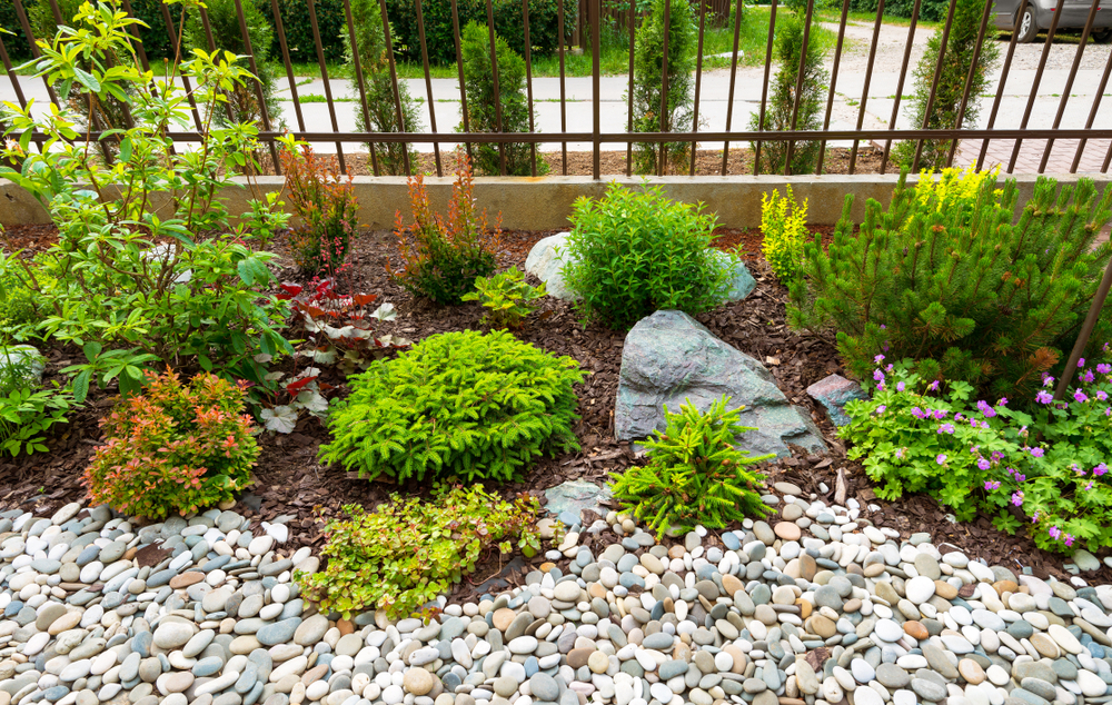 Close up of landscaping plants surrounded by mulch and small rocks