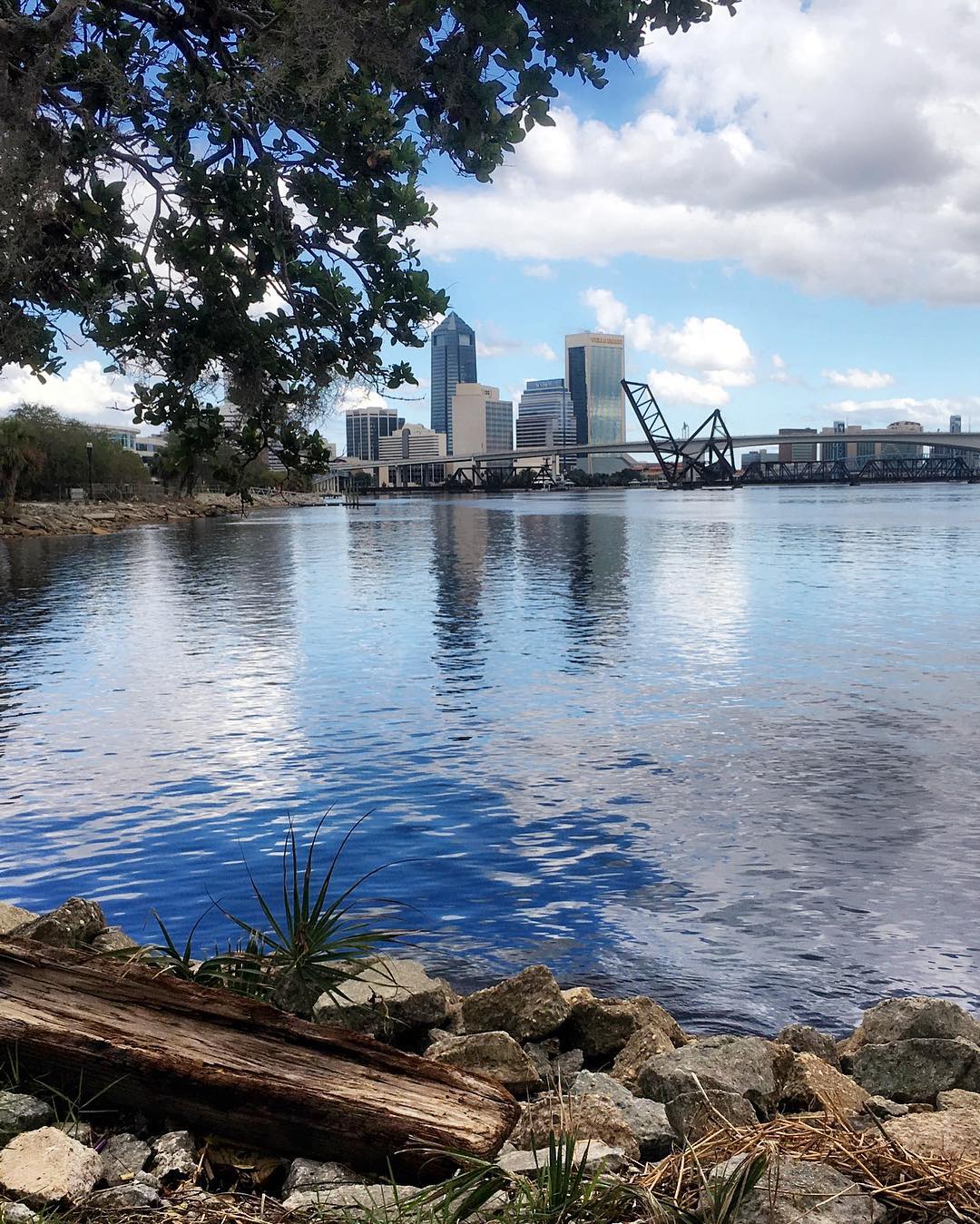 skyline of downtown jacksonville, FL from across the river