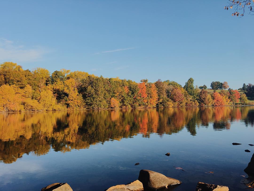 lake in Worcester, MA in the fall with trees changing color photo by Instagram user @vietnamese.travelers
