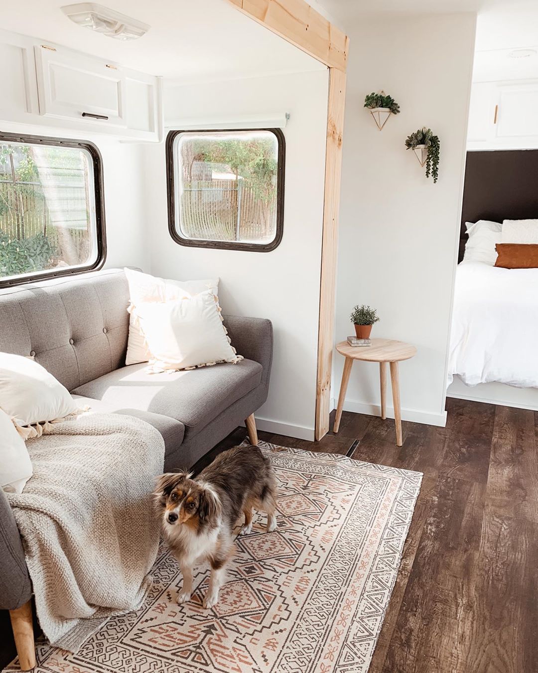RV with new vinyl wood flooring and dog photo by Instagram user @danielvanhorn