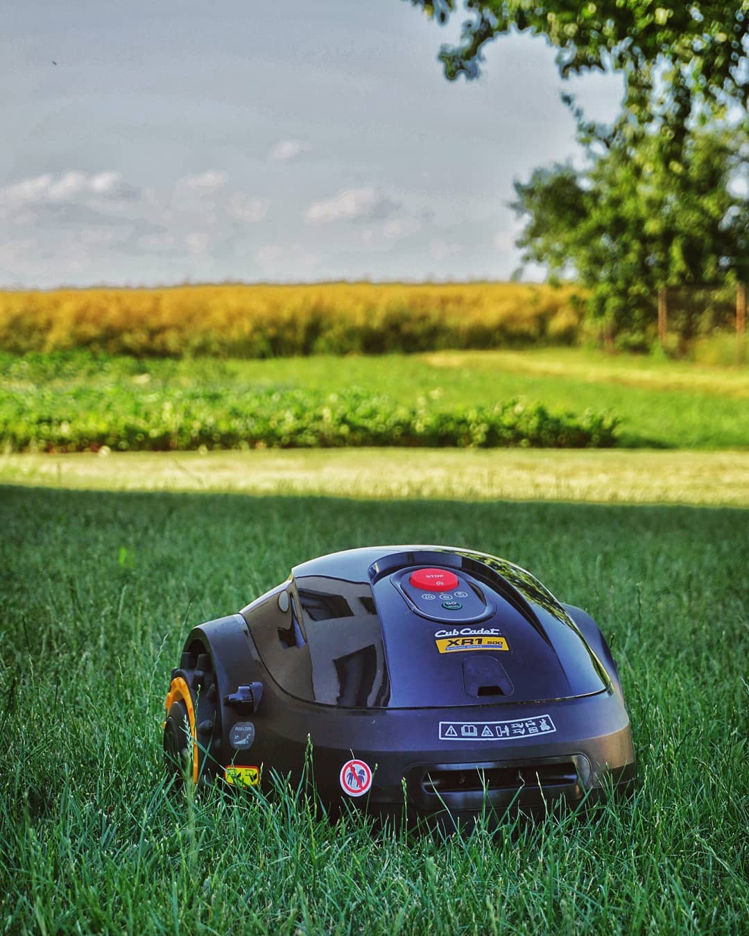 smart robot lawn mower mowing the lawn photo by Instagram user @bez.ogrodek