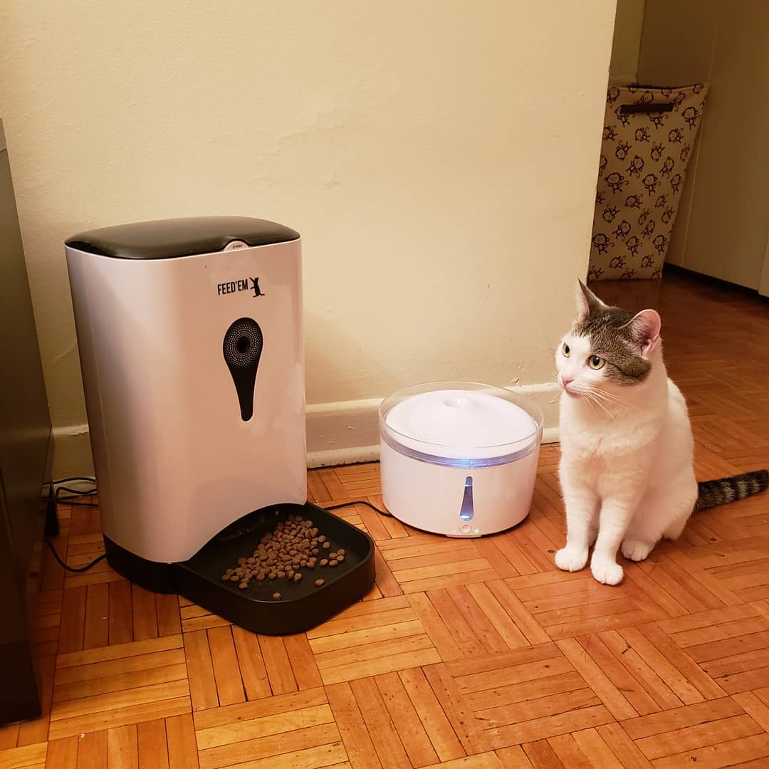 cat sitting next to a smart feeder and smart water bowl photo by Instagram user @feedemcanada