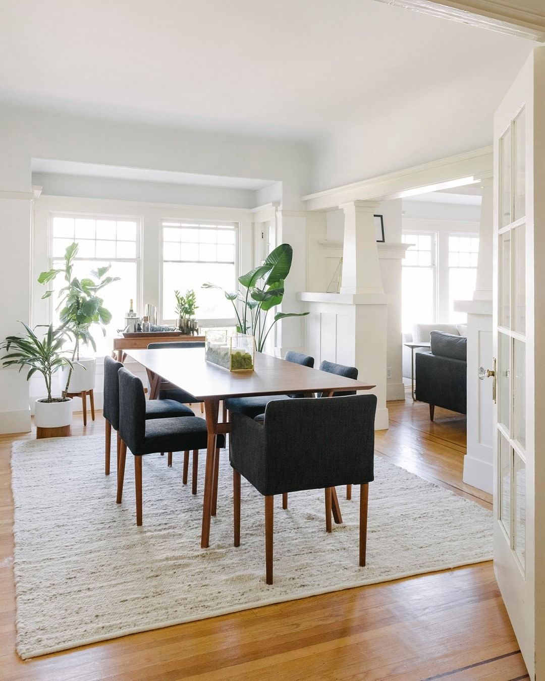 Modern & Minimalist Design with Plants Placed in Dining Room. Photo by Instagram user @westelm