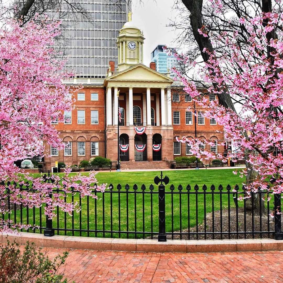 Connecticut's Old State House Museum with Trees in Bloom. Photo by Instagram user @chandler__anderson
