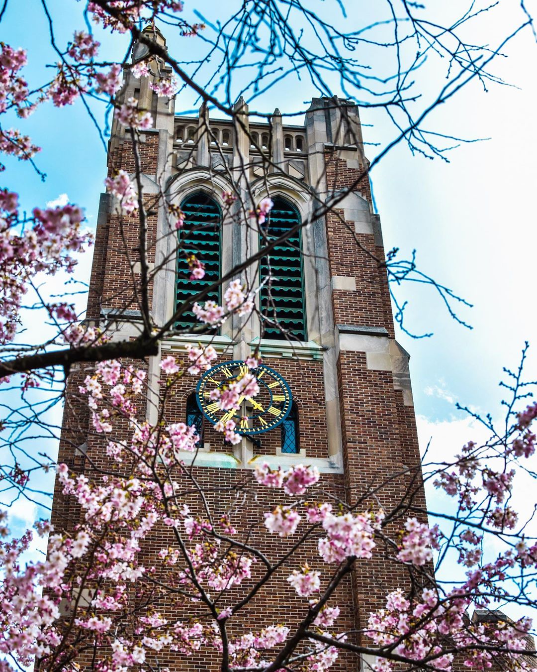 Photo of Beaumont Tower on Michigan State University Campus in East Lansing, MI. Photo by Instagram user @zafiephotography