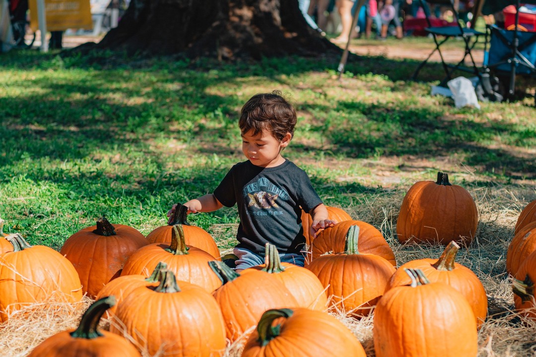 Child in Pumpkin Patch at Boyd Hill Nature Preserve. Photo by Instagram user @stpeteparksrec