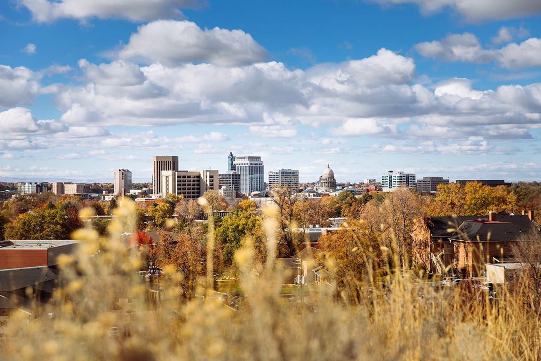 Skyline View of Boise, ID Looking through Fields. Photo by Instagram User @visionkitstudio
