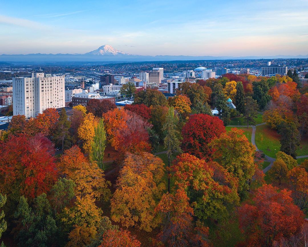 View of Downtown Tacoma, WA from Wright Park with Mount Rainier in Background. Photo by Instagram user @j2g.creative