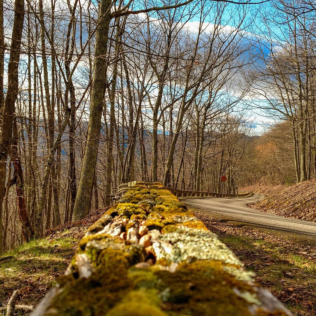 Moss Covered Guard Rail in Vinton, VA. Photo by Instagram user @gentry_allison